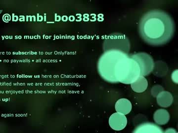 girl Cam Girls Masturbating With Dildos On Chaturbate with bambi_boo3838